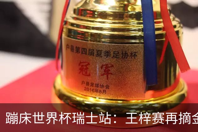 蹦床世界杯瑞士站：王梓赛再摘金